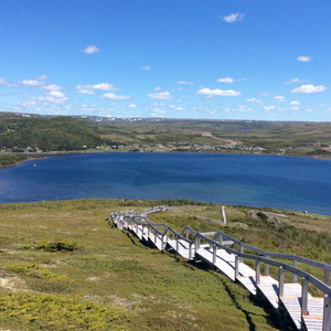 Tracey Hill Trail