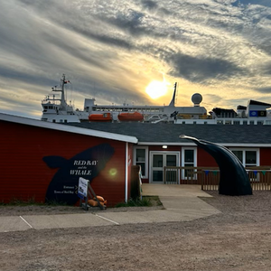 Right Whale Exhibit Museum