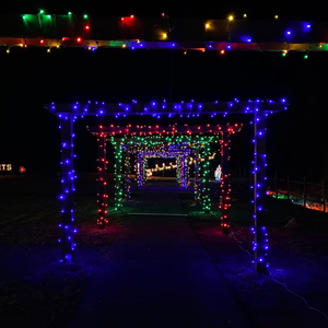 Bay Roberts Festival of Lights