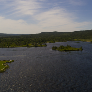 Goose Pond Eco Trail