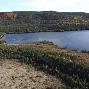 Sandy Cove Pond Trail