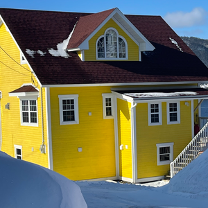 The Bright Yellow House on Meadows Point