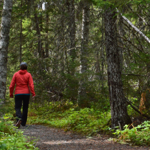 Sandy Pond Trail - Terra Nova National Park, Parks Canada