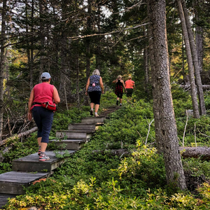 Goowiddy Path - Terra Nova National Park, Parks Canada