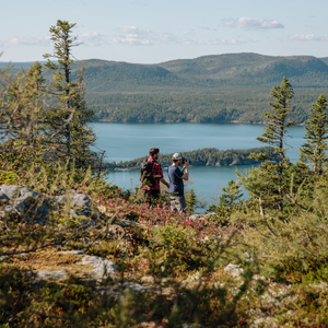 Outport Trail - Terra Nova National Park, Parks Canada