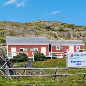 Experience Fogo