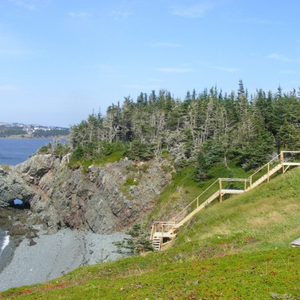 The Warpath / Otter Rub Trail