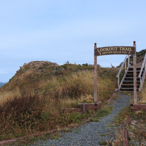 Lookout Trail - La Scie