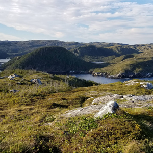 Old Harbour Le Cou Trail
