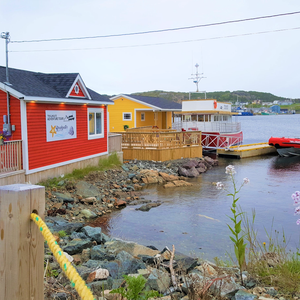 Twillingate Adventure Tours