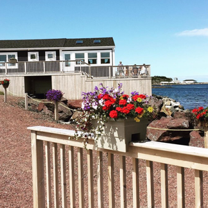 Annies Harbour Restaurant