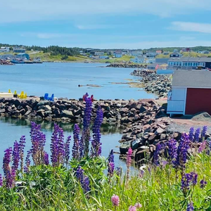 Harbour Lights Inn