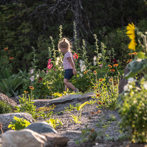 Port Blandford Municipal Park