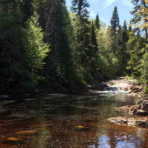 Middle Brook Swimming Hole