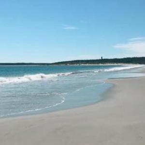 Lumsden Beach Company