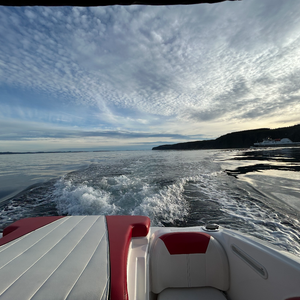 Old Salty Dog Excursions