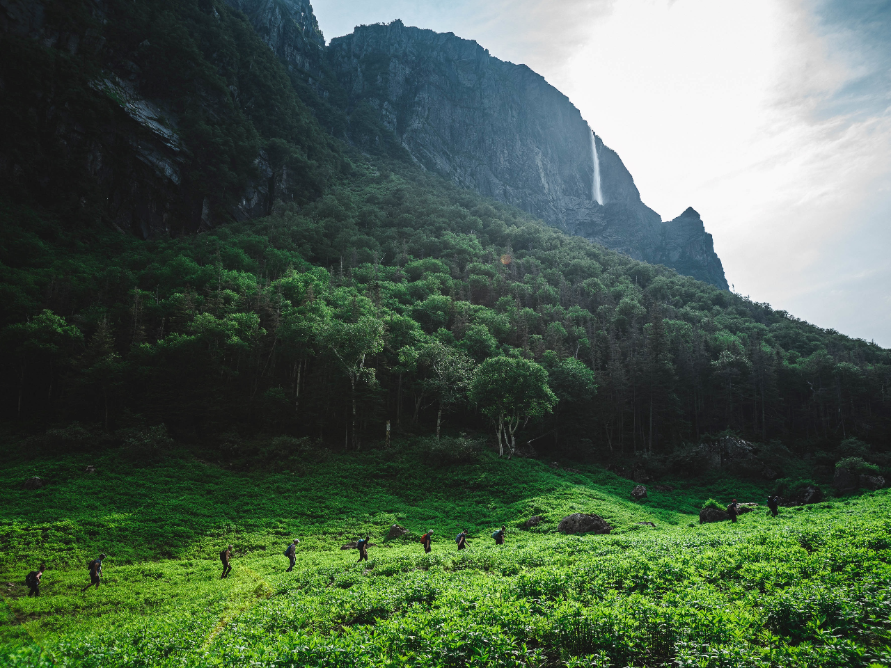 Moose meadow