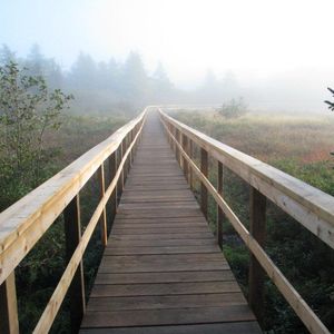 Indian River Walking Trails