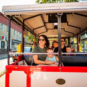 Mill Whistler Road Train