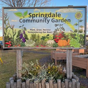 The Town of Springdale Community Garden