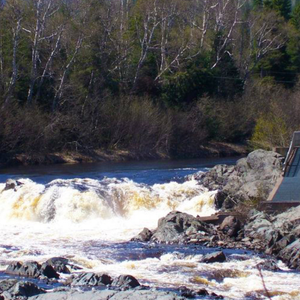 Indian River Falls and Salmon Ladder