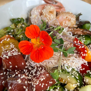 Pollen Nation Farm Café and 'Beestro'