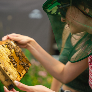 Cormack Bee Company