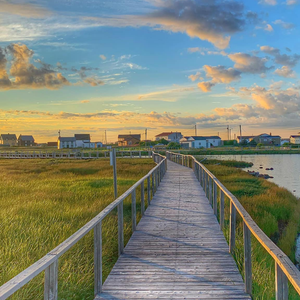 Old Days Pond Boardwalk