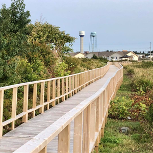 Beaver Pond Boardwalk