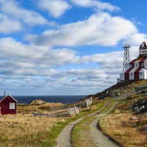 Cape Shore Trail