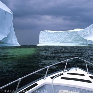Tuckamore Wilderness Tours