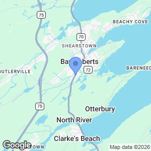 Ches's Famous Fish and Chips - 245 Conception Bay Highway