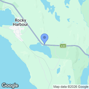 Mountain Biking in Rocky Harbour, Ridgeline